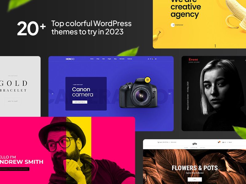 20+ Top Colorful WordPress Themes To Try in 2024